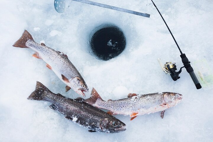 The Date with Aurora: Ice Fishing Tour from Fairbanks - Photo 1 of 3